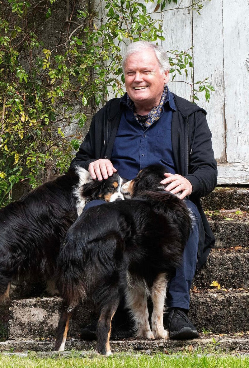 Mindful Healing  Dr Tony Bates Download