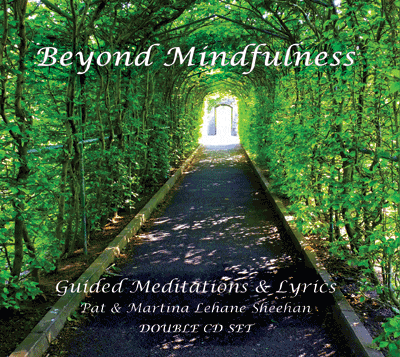 Beyond Mindfulness CD/USB