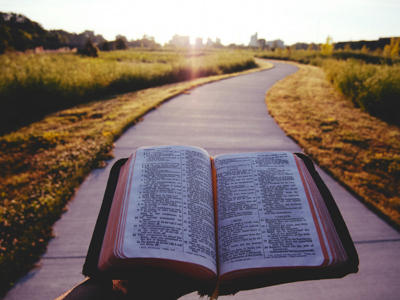 The Bible as a Path to the God of Love