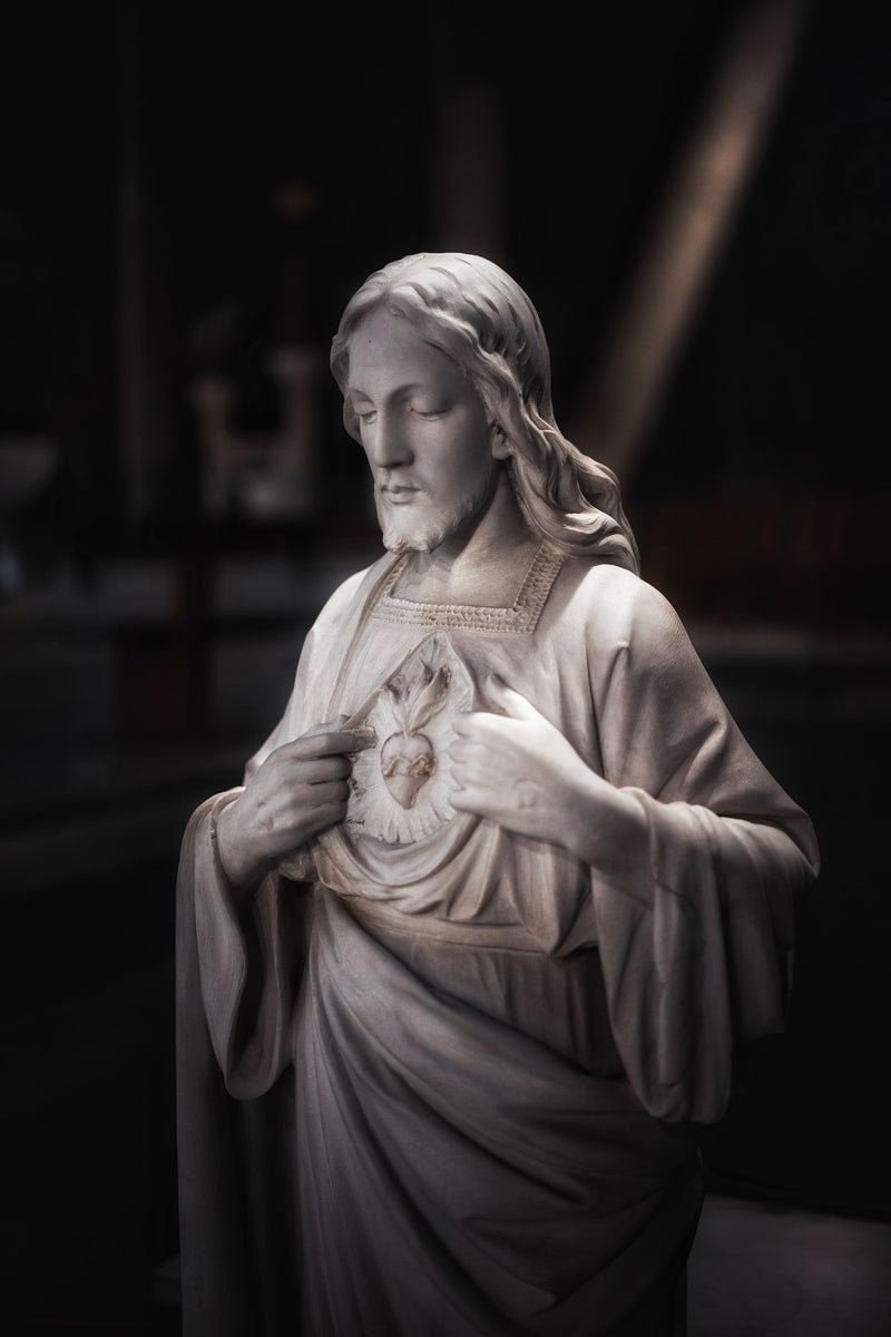 Intercession for Priests:     Heart of Jesus - Heart of Mercy